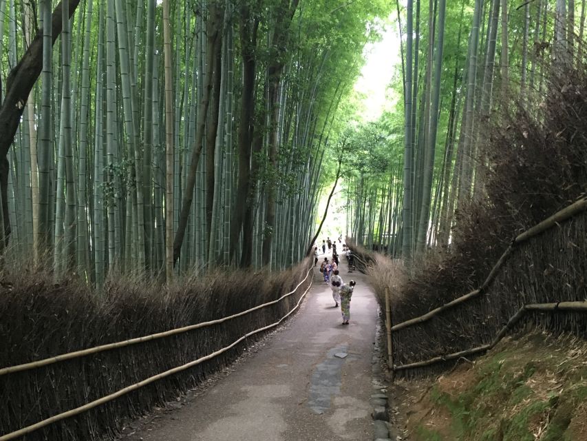Kyoto Arashiyama Bamboo Forest Customized Private Tour - What the guide adds to the four hours