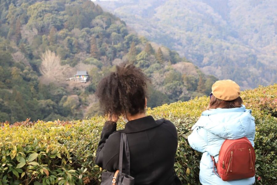 Kyoto Arashiyama Bamboo Forest Customized Private Tour - Gioji, Adashino Nenbutsu-ji, and Otagi Nenbutsu-ji