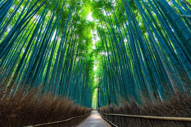 Kyoto Arashiyama Bamboo forest & Garden Half-Day Walking Tour - Hokyoin and the quieter side of Arashiyama
