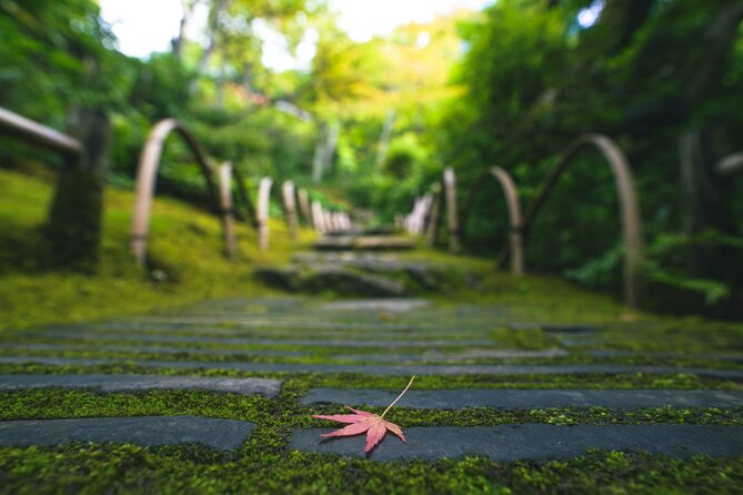 Kyoto Arashiyama Bamboo forest & Garden Half-Day Walking Tour - Sagaogurayama and the value of going slowly