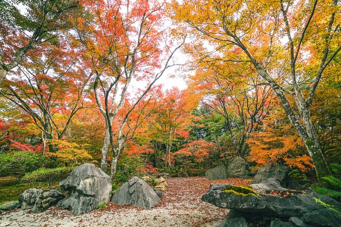 Kyoto Arashiyama Bamboo forest & Garden Half-Day Walking Tour - Tenryuji, Zen gardens, and temple paintings