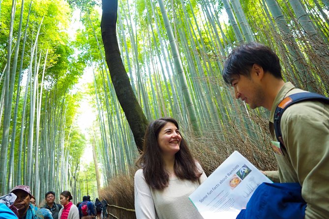 Kyoto Arashiyama Bamboo forest & Garden Half-Day Walking Tour - Meeting at Saga-Arashiyama Station