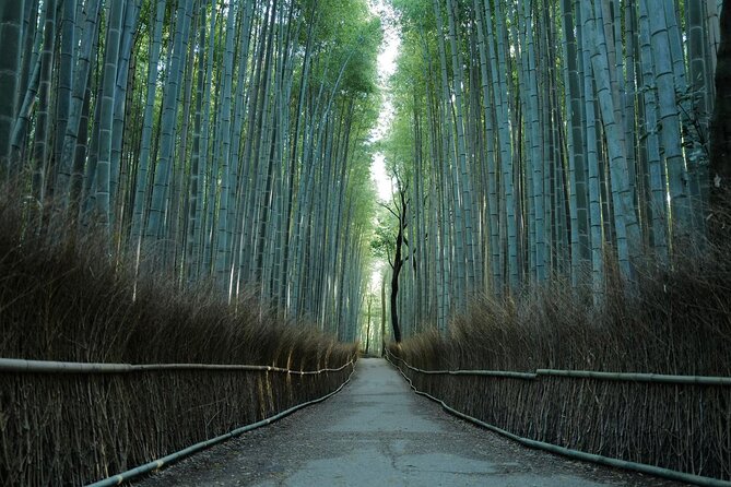 Kyoto Arashiyama Bamboo Forest Hiking Tour(Hidden Temples) - Key points to know before booking