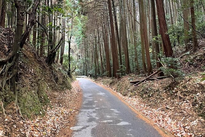 Kyoto Arashiyama Bamboo Forest Hiking Tour(Hidden Temples) - Adashino Nenbutsu-ji and its 8,000 Buddhist statues