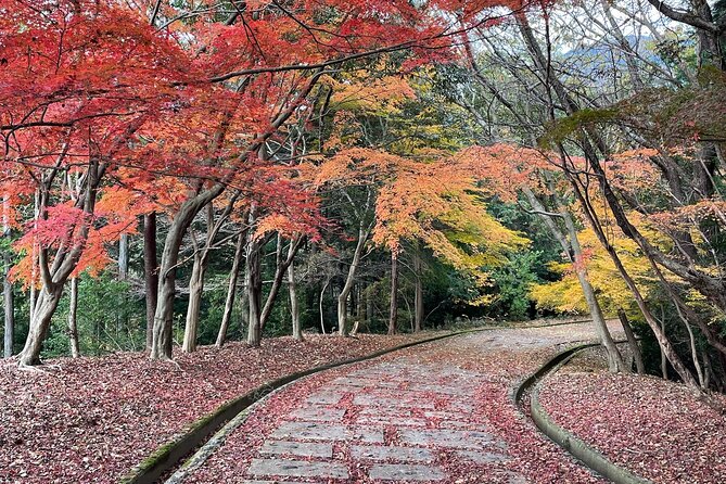 Kyoto Arashiyama Bamboo Forest Hiking Tour（Hidden Temples） - Walking through the Arashiyama Bamboo Forest