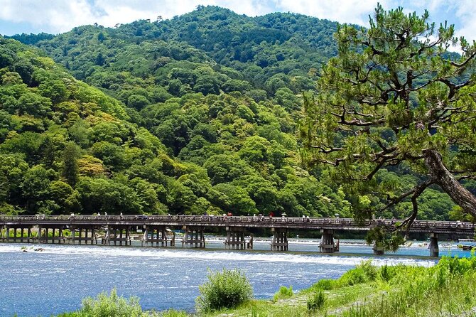 Kyoto: Arashiyama Bamboo Forest, Monkeys, Matcha & Temple Tour - Key points to know before you book