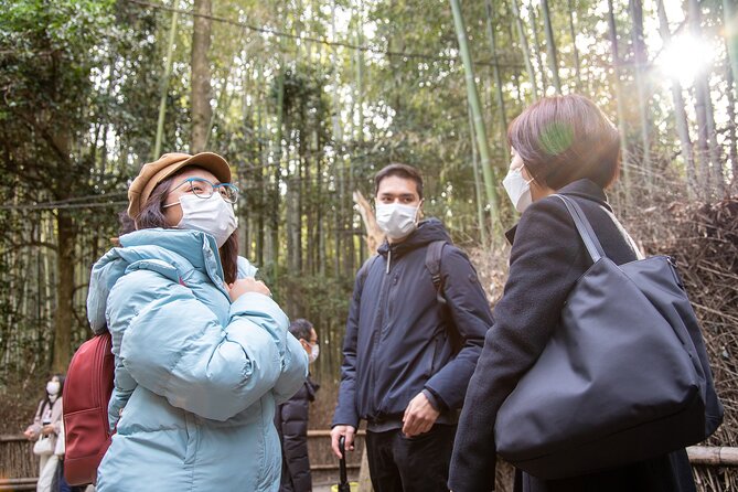 Kyoto Arashiyama Bamboo Forest & Scenery Customized Private Tour - Gio-ji and Adashino Nembutsu-ji