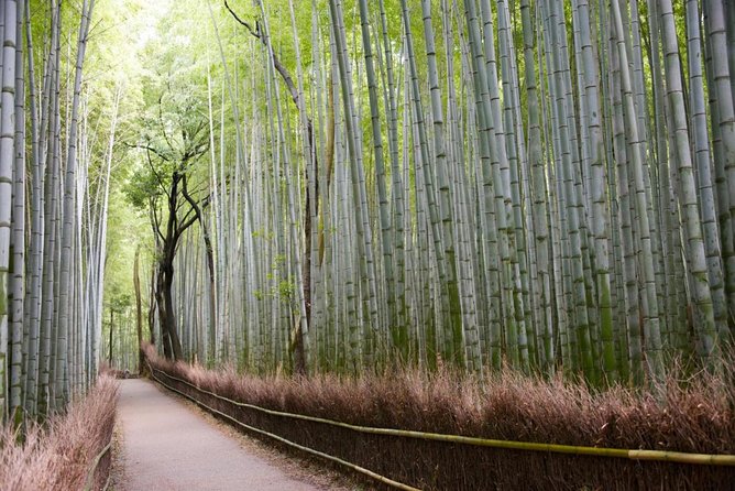 Kyoto Arashiyama Bamboo Forest & Scenery Customized Private Tour - Togetsukyo Bridge and the first Arashiyama views