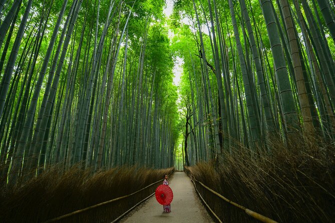 Kyoto: Arashiyama Bamboo, Temple, Matcha, Monkeys & secret spots - Togetsukyo Bridge and the river view