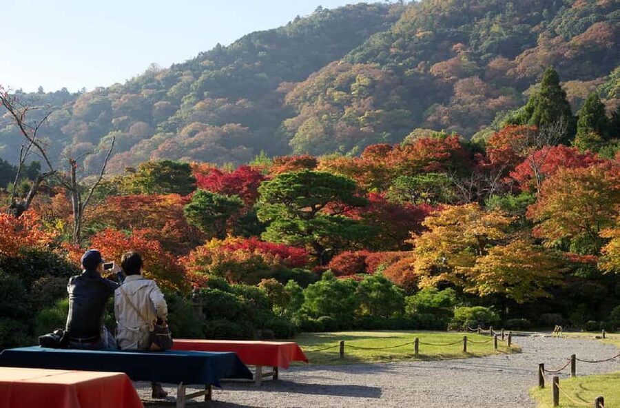 Kyoto: Arashiyama Bamboo, Togetsukyo bridge, Sanso, and more - Key points at a glance