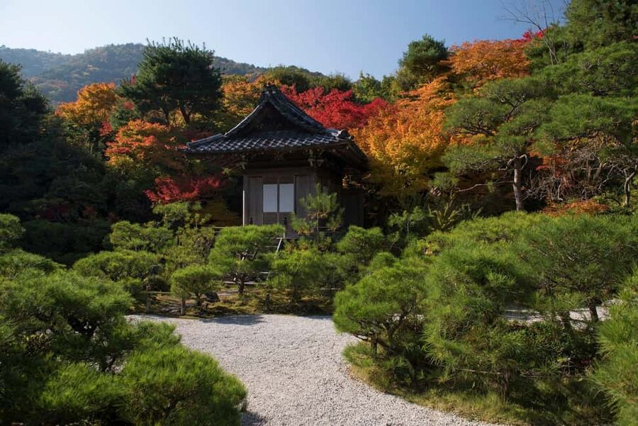 Kyoto: Arashiyama Bamboo, Togetsukyo bridge, Sanso, and more - Walking through the Sagano Bamboo Forest