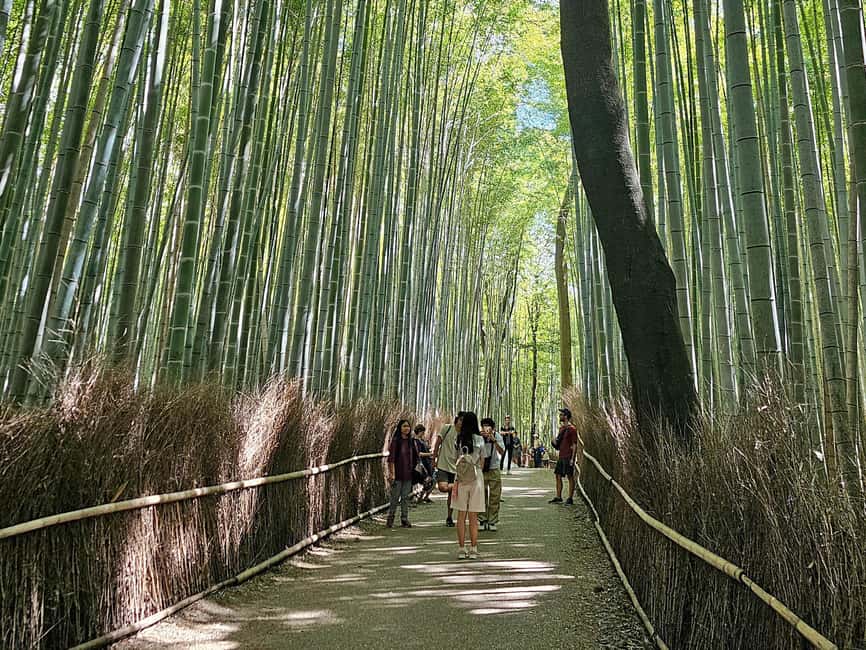 Kyoto: Arashiyama Bamboo, Togetsukyo bridge, Sanso, and more - Views from Togetsukyo Bridge