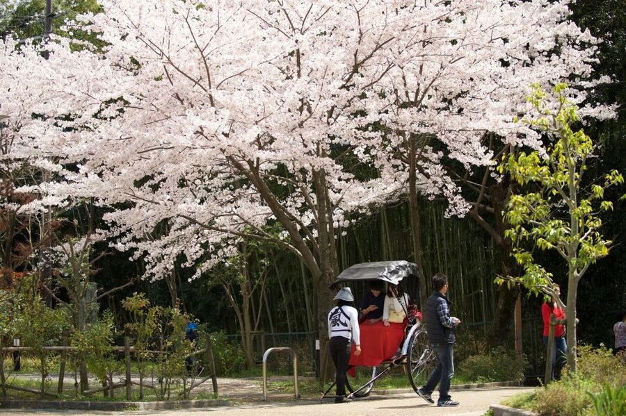 Kyoto: Arashiyama Customized Rickshaw Tour & Bamboo Forest - Which tour length should you choose?
