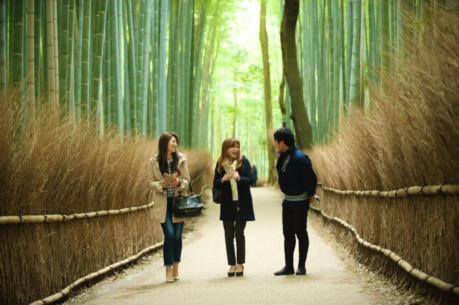 Kyoto: Arashiyama Customized Rickshaw Tour & Bamboo Forest - Comfort, families, and practical limits