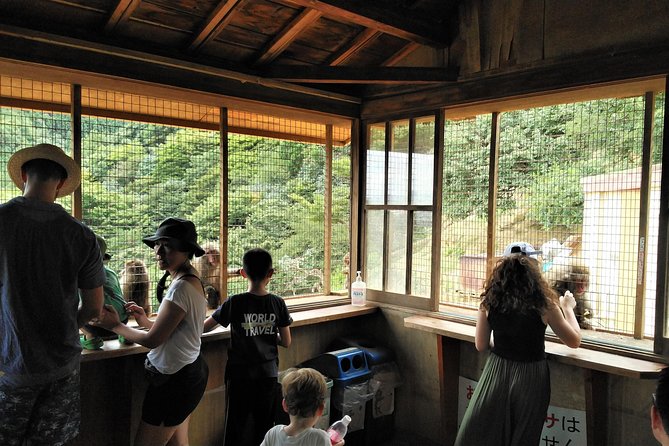 Kyoto Arashiyama & Golden Pavilion One-Day Walking Tour - Views from Kameyama Park