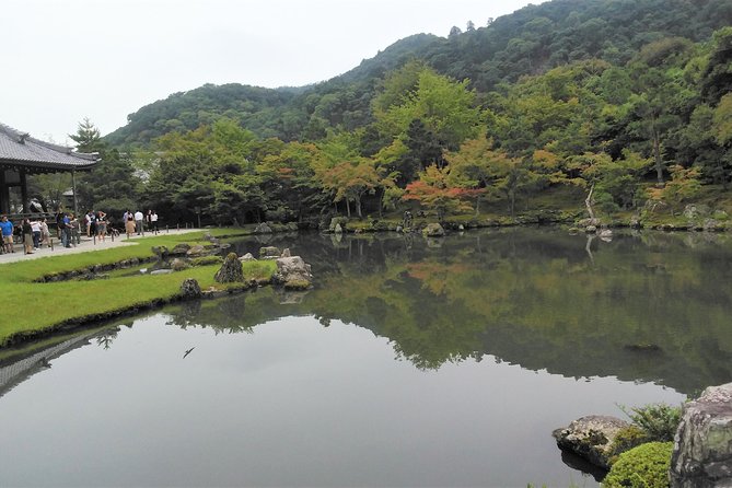 Kyoto Arashiyama & Golden Pavilion One-Day Walking Tour - Walking through the bamboo grove