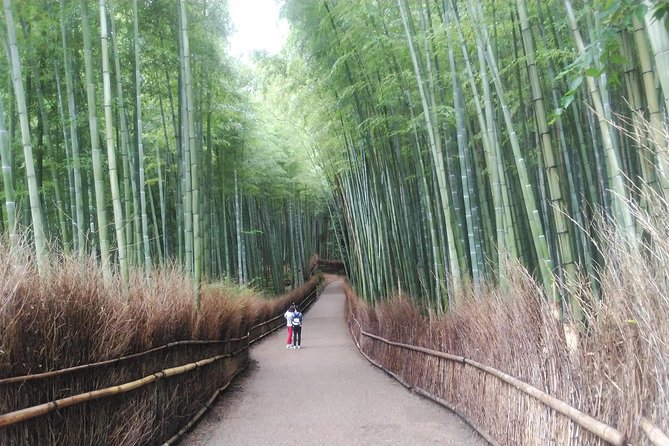 Kyoto Arashiyama & Golden Pavilion One-Day Walking Tour - Tenryu-ji and its famous garden