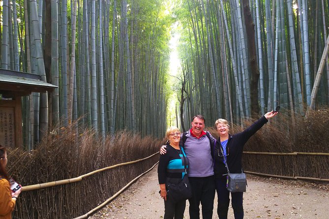 Kyoto Arashiyama & Golden Pavilion One-Day Walking Tour - What the private guide adds