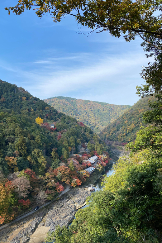 Kyoto: Arashiyama Guided Tour, Bamboo, Monkey, Zen Temple - Walking beneath the Arashiyama bamboo