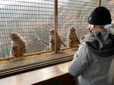 Arashiyama Guided Tour, Bamboo, Monkey, Zen Temple