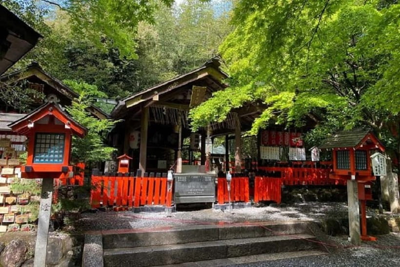 Kyoto: Arashiyama Guided Tour, Bamboo, Monkey, Zen Temple - Who should book this walk?