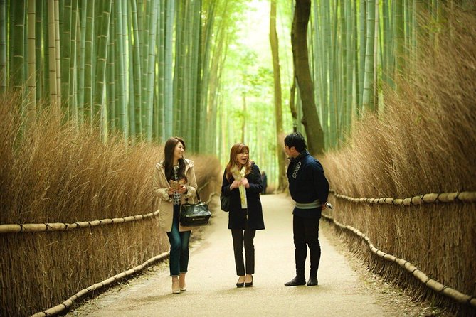 Kyoto Arashiyama Rickshaw Tour with Bamboo Forest - What the Arashiyama rickshaw experience is really like