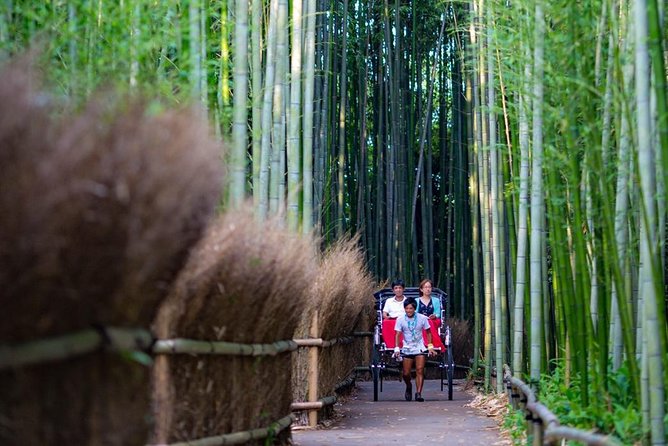 Kyoto Arashiyama Rickshaw Tour with Bamboo Forest - Temples, village streets, and the haiku poet’s cottage