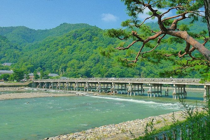 Kyoto Arashiyama & Sagano Bamboo Private Tour with Government-Licensed Guide - Tenryuji and Okochi Sanso: the classic pairing