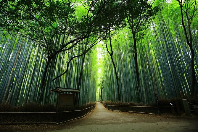 Kyoto Arashiyama & Sagano Bamboo Private Tour with Government-Licensed Guide - Starting at Togetsukyo Bridge