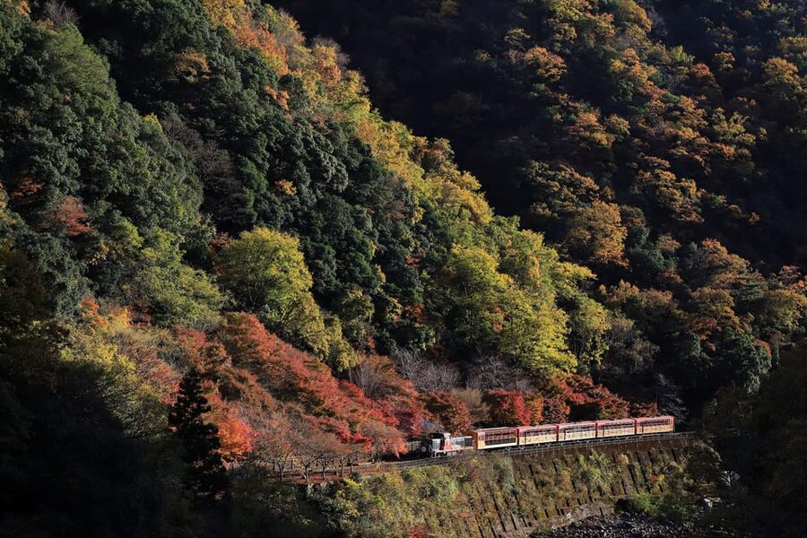 Kyoto: Arashiyama Tour with optional Sagano Romantic Train - Mikami Shrine and a different side of Kyoto