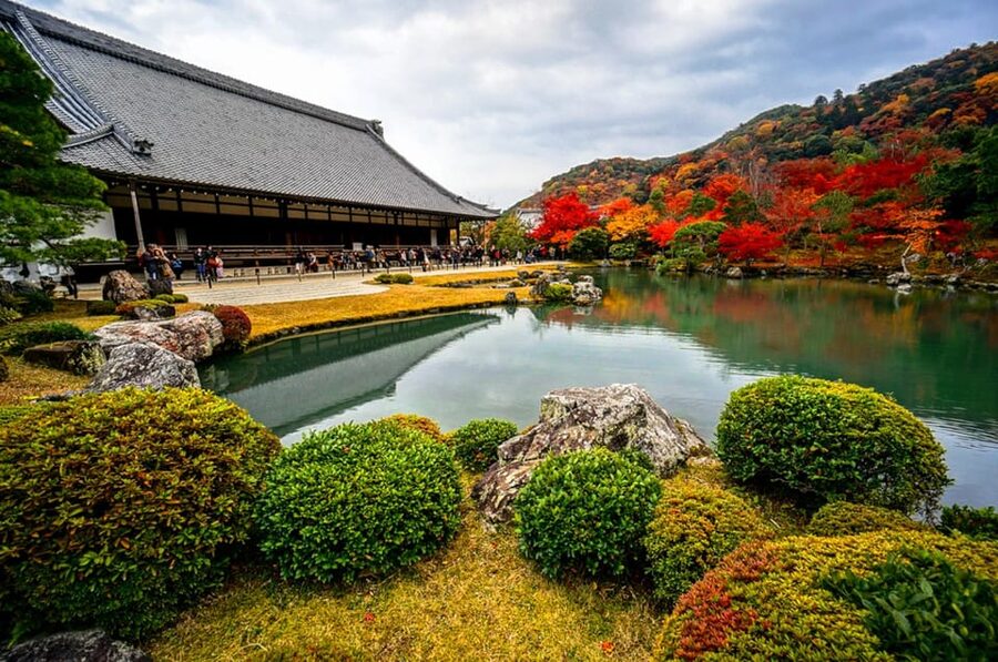 Kyoto: Arashiyama Tour with optional Sagano Romantic Train - Walking through Arashiyama Bamboo Forest
