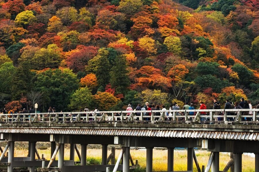 Kyoto: Arashiyama Tour with optional Sagano Romantic Train - Choosing the Sagano Romantic Train option