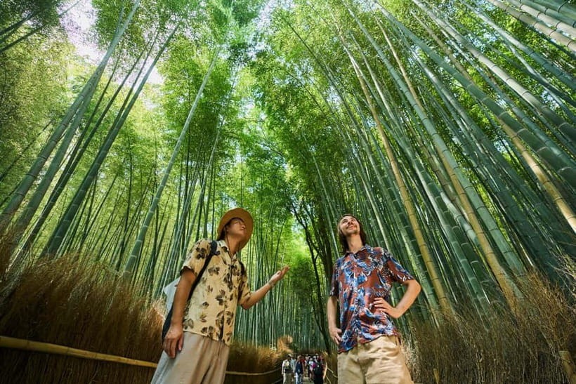 Kyoto: Arashiyama UNESCO Walking Tour with Admission - Key points at a glance