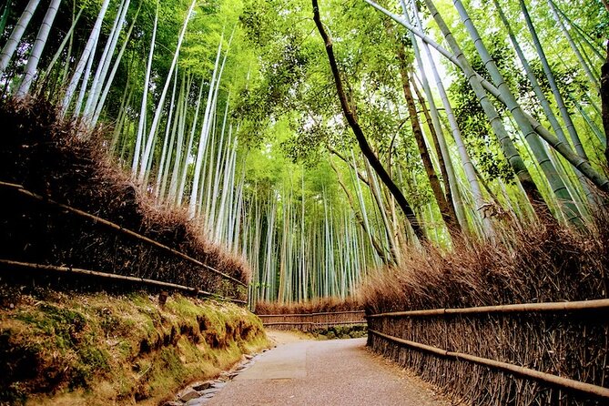 Kyoto Arashiyama Walking Tour: Bamboo, Monkeys, Gardens & Secrets - Okochi Sanso Garden, the peaceful pause