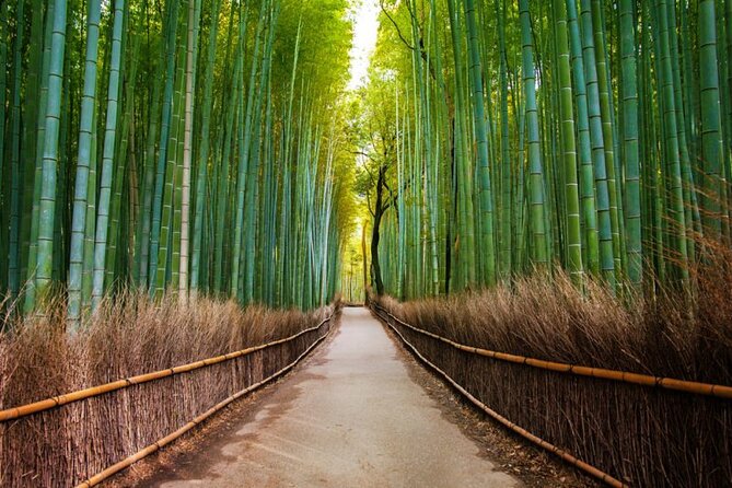 Kyoto Arashiyama Walking Tour: Bamboo, Monkeys, Gardens & Secrets - Togetsukyo Bridge and the river view
