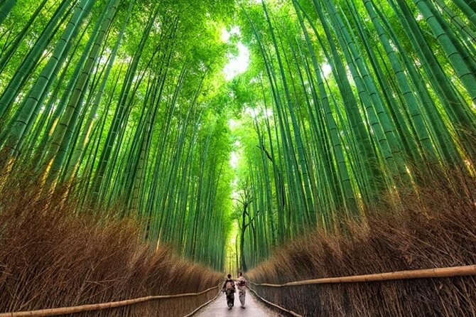 Kyoto: Arashiyama Walking Tour – UNESCO World Heritage - Key points at a glance