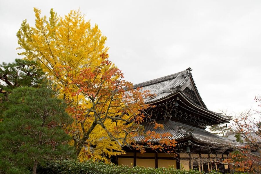 Kyoto: Authentic Biking Half Day Experience - Starting at Gojo Station and reaching Gion