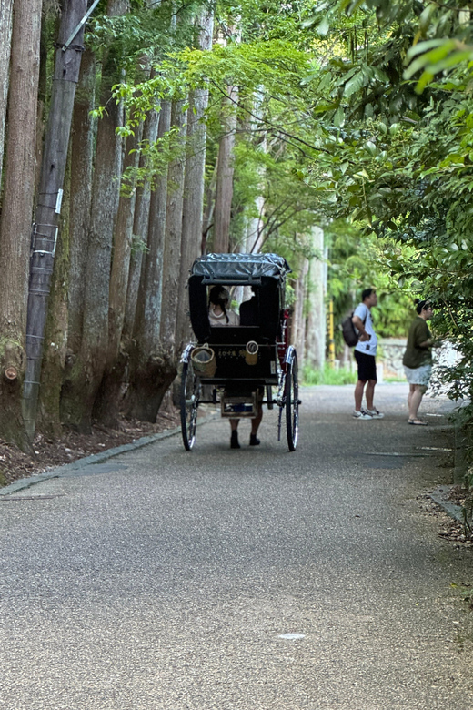 Kyoto: Avoid the Crowds at the Hidden Gems of Arashiyama - Key points to know before you book