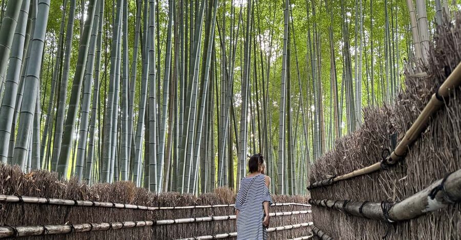 Kyoto: Avoid the Crowds at the Hidden Gems of Arashiyama - The bamboo forest, with realistic expectations