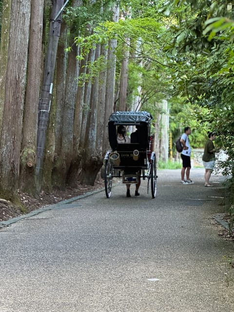 Kyoto: Avoid the Crowds at the Hidden Gems of Arashiyama - Togetsu Bridge and the first Arashiyama views