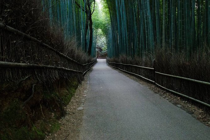 Kyoto Bamboo Forest & Golden Pavilion E-Bike Tour - The ride between Kyoto’s temple districts