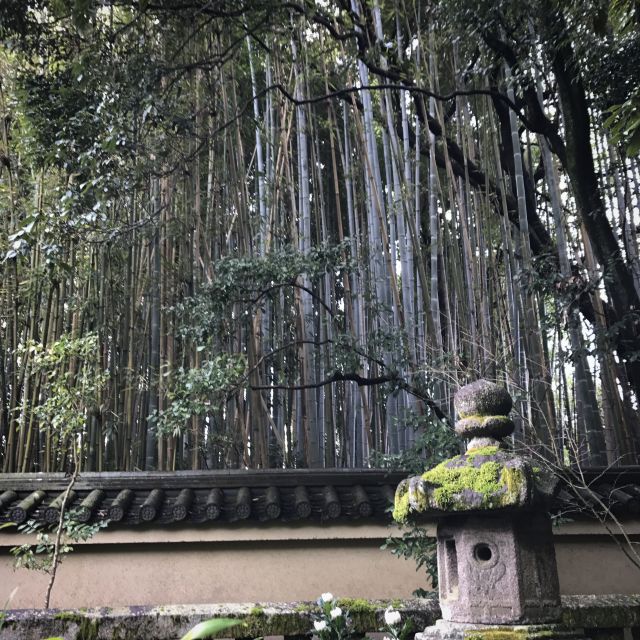 Kyoto: City Secrets eBike Tour - Backstreets, old Geisha quarters, and the shrine of knowledge