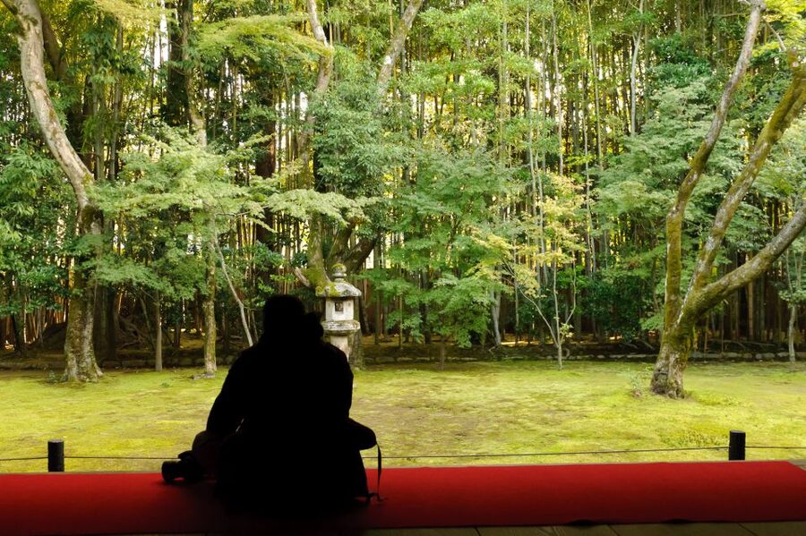 Kyoto: City Secrets eBike Tour - Tea, mochi, and a very old café
