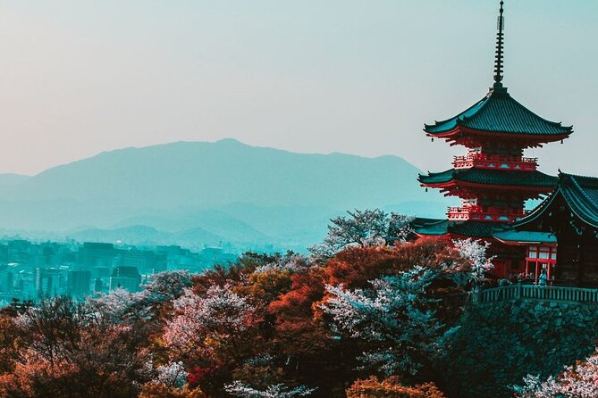 Kyoto Custom Private Walking Tour with A Guide (Private Tour) - Key points to know before booking