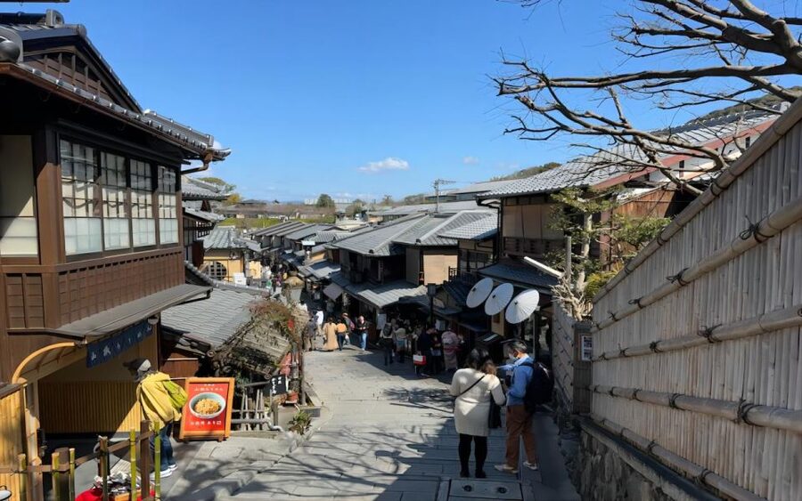 Kyoto: Customizable Full-Day Tour with Privarte Transfers - A private Kyoto day built around your priorities