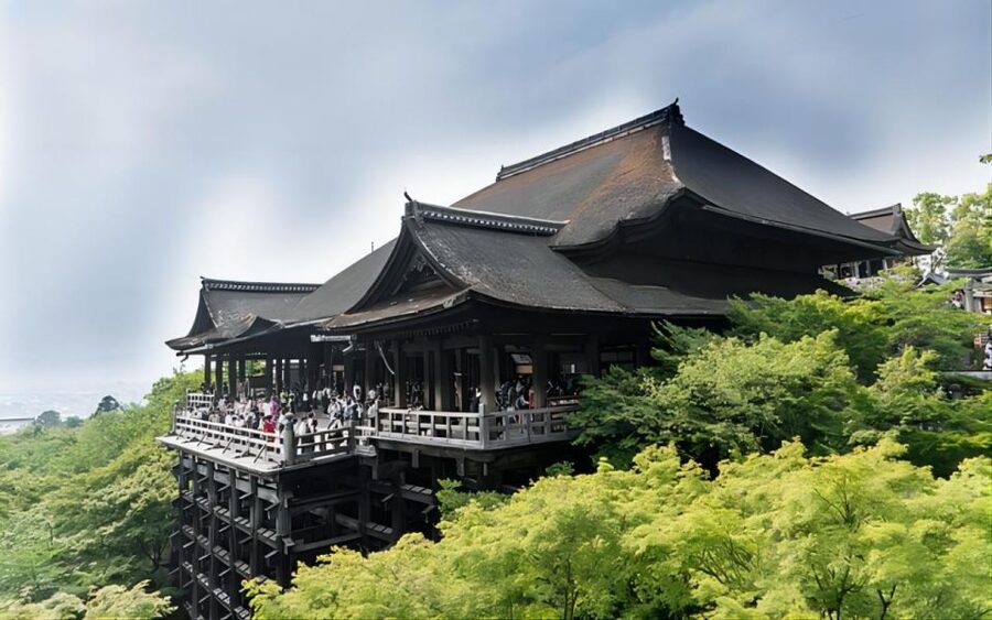 Kyoto: Customizable Full-Day Tour with Privarte Transfers - Private vehicles, group size, and comfort