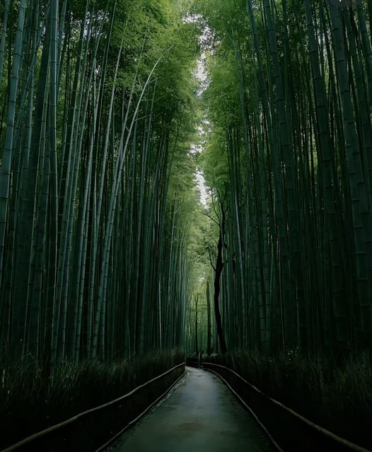 Kyoto: Customized One Day Car tour - Who should book this Kyoto car tour
