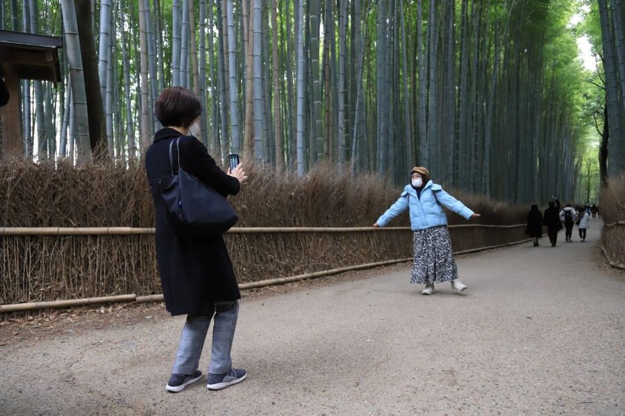 Kyoto Customized Private Tour: See Top Attractions in 1 Day - Nijo Castle for a different side of Kyoto