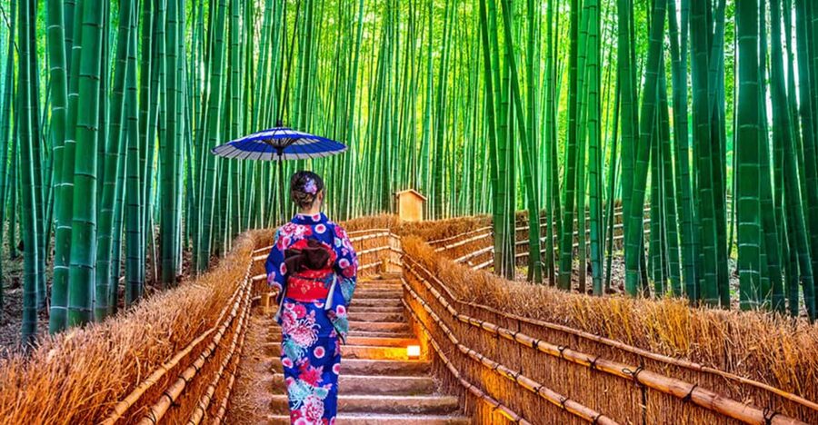 Kyoto Day Tour with Certified Tour Guide & Luxury vehicle - Key points at a glance