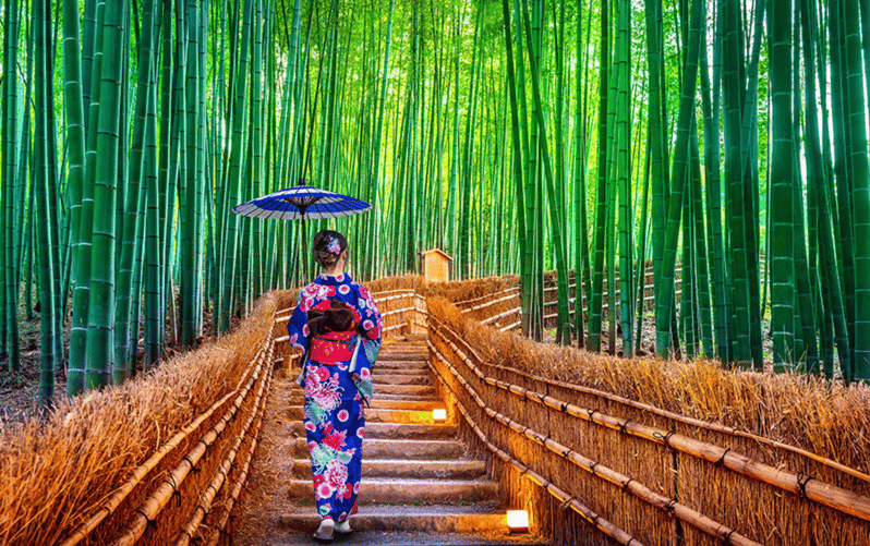 Kyoto Day Tour with Certified Tour Guide & Luxury vehicle - Why a private van helps in Kyoto